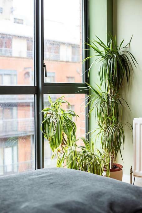 Spacious Belfast City Centre Duplex Apartment Екстер'єр фото